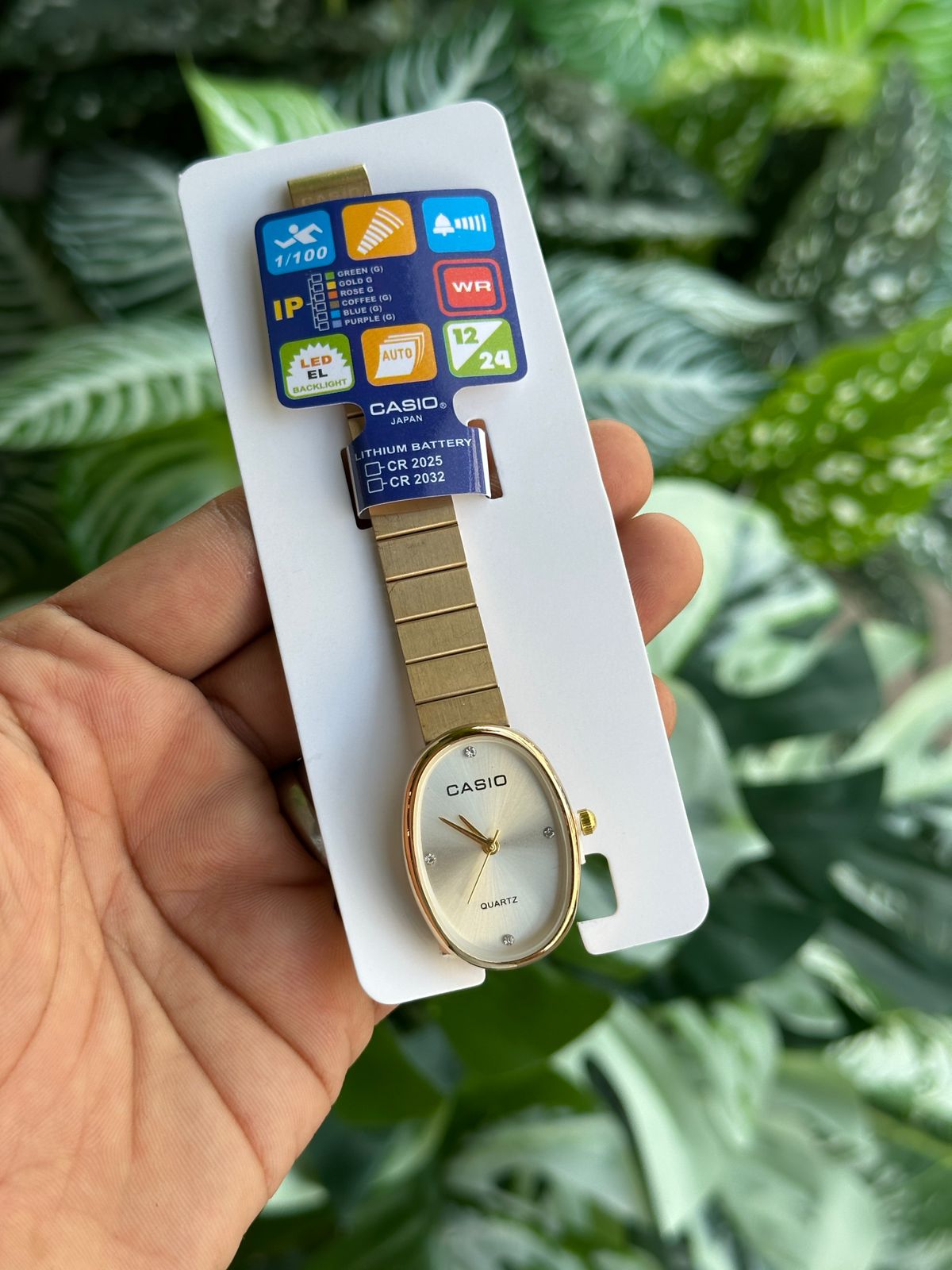 Oval Dial Classic Watch